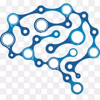 脑神经科学-空若网 脑神经科学-空若网