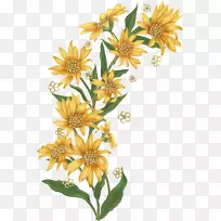 ���ܼ�ֽ����-����-������