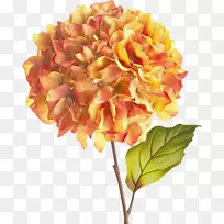 �����л����ͻ���-������