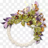 ���಩��-������