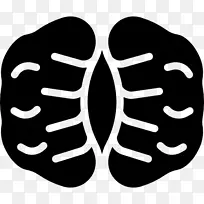 手指有机体线骨夹艺术线-空若网 手指有机体线骨夹艺术线-空若网