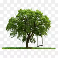 ���༭-��-������