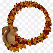 预览博客-空若网 预览博客-空若网