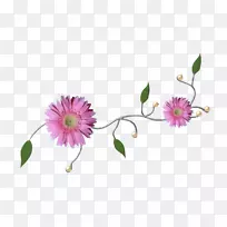 花卉设计爱花-空若网 花卉设计爱花-空若网