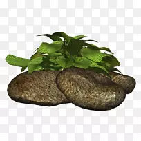 蔬菜-蔬菜-空若网 蔬菜-蔬菜-空若网