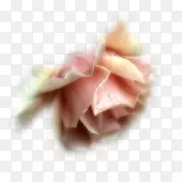 爱短信早间浪漫好人家-空若网 爱短信早间浪漫好人家-空若网