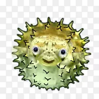 博主BMX WordPress歌曲-空若网 博主BMX WordPress歌曲-空若网