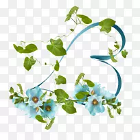 植物牵伸藤本植物-空若网 植物牵伸藤本植物-空若网