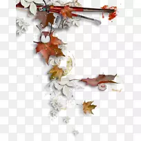 �＾������-�＾-������