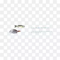 车身首饰线耳字形线-空若网 车身首饰线耳字形线-空若网