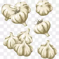 蔬菜大蒜剪贴画-蔬菜-空若网 蔬菜大蒜剪贴画-蔬菜-空若网