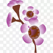 �ۺ컨��廨����-������