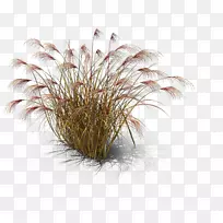 Òø²Ý-¿ÕÈôÍø Òø²Ý-¿ÕÈôÍø