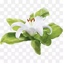 �廨����-������