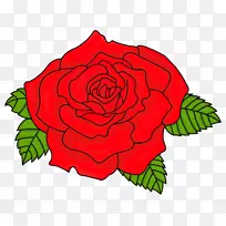 玫瑰画夹艺术-玫瑰-空若网 玫瑰画夹艺术-玫瑰-空若网