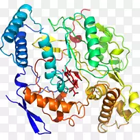 �޼�׵���������鱦�߼�������-������