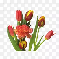 �����㻨�������㿵��ܰ-������