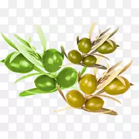 ���ʳƷӪ��.���Ӫ������-������