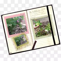 ���μ��ڲ����ռ��罻ý��-����-������