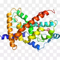 �����鱦���л����������-������