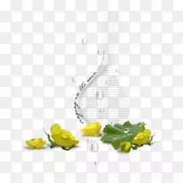 青蛙动画桌面壁纸-青蛙-空若网 青蛙动画桌面壁纸-青蛙-空若网