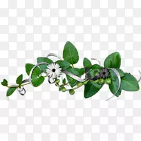 友情儿童博客离婚。-空若网 友情儿童博客离婚。-空若网