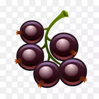 黑醋栗,红加仑果,桑特醋栗-葡萄-空若网 黑醋栗,红加仑果,桑特醋栗-葡萄-空若网