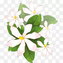 画框花不花-空若网 画框花不花-空若网