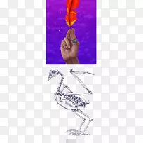 平面设计手指设计-空若网 平面设计手指设计-空若网