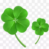 白色三叶草四叶草三叶草下载手绘三叶草-空若网 白色三叶草四叶草三叶草下载手绘三叶草-空若网