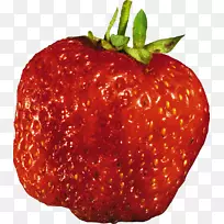 ��ݮ���Ϲ�֭-��ݮ-������