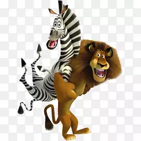 马达加斯加亚历克斯动画剪贴画-动画-空若网 马达加斯加亚历克斯动画剪贴画-动画-空若网