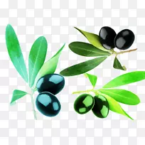 橄榄油枇杷-空若网 橄榄油枇杷-空若网