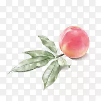 Ë®²Ê»-ÌÒ»¨-¿ÕÈôÍø Ë®²Ê»-ÌÒ»¨-¿ÕÈôÍø