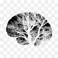 ������Ԫ��ϵͳ������-������