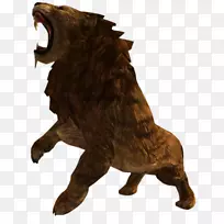 ʳ����½������-����-������