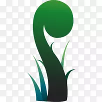 ާ��ֲ��Ҷ��ާ(Angiopteris Evecta Fern)-������