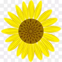 �Գƻ�ɫ����ͼ��-���տ�-������