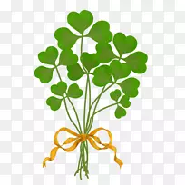 绿四叶三叶草花绿三叶草花束-空若网 绿四叶三叶草花绿三叶草花束-空若网