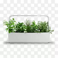 ������԰԰��ˮ��-������