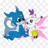 猫科动物-猫-空若网 猫科动物-猫-空若网