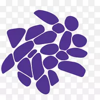 默克集团默克公司默克米利波尔西格玛-奥尔德里奇公司-空若网 默克集团默克公司默克米利波尔西格玛-奥尔德里奇公司-空若网