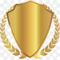 澳洲研究生大学学位职业学士学位闪耀盾牌-空若网 澳洲研究生大学学位职业学士学位闪耀盾牌-空若网