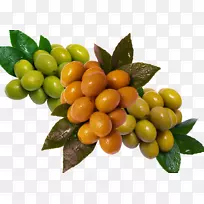 ��魽���-����̺ͳ�ɫ����-������