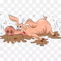 猪场摄影剪贴画-秋季猪-空若网 猪场摄影剪贴画-秋季猪-空若网