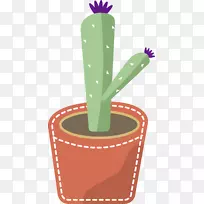 �����ƿ�-��ɫ������-������