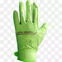 �������ף���˹����԰�գ�����-������