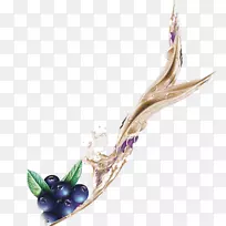 下载剪贴画-蓝莓汁浮子-空若网 下载剪贴画-蓝莓汁浮子-空若网