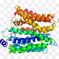 珠宝首饰剪贴画.珠宝-空若网 珠宝首饰剪贴画.珠宝-空若网