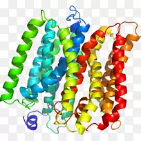 珠宝首饰剪贴画.珠宝-空若网 珠宝首饰剪贴画.珠宝-空若网